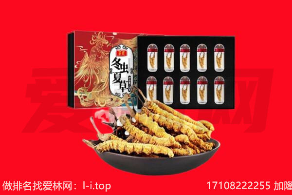 邯郸市复兴回收虫草.jpg